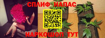амф Волгодонск