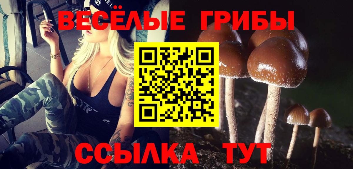 Новый Уренгой  Галлюциногенные грибы Cubensis  Псилоцибиновые грибы Psilocybe  сколько стоит  Вход с VPN 